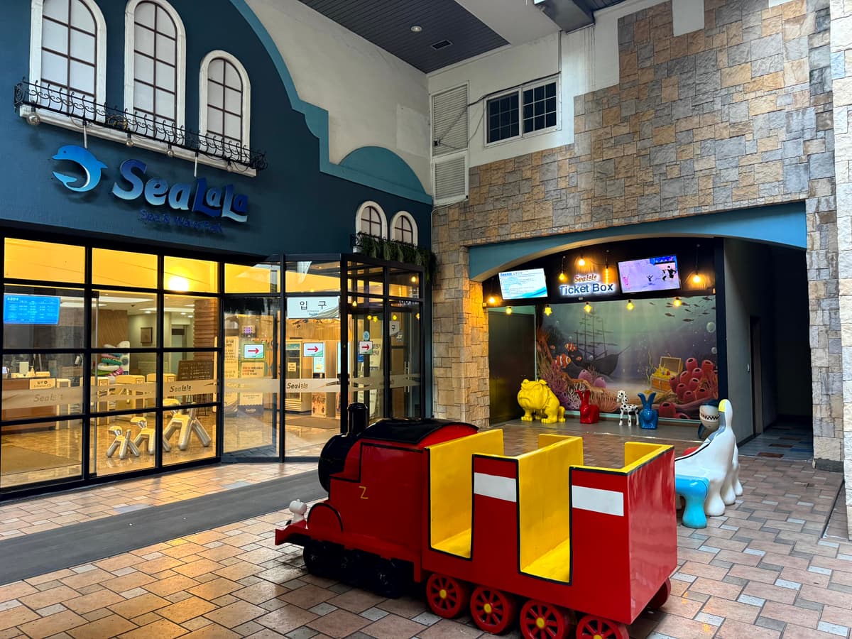 서울 한복판 온수풀에서 즐기는 도파민 파티