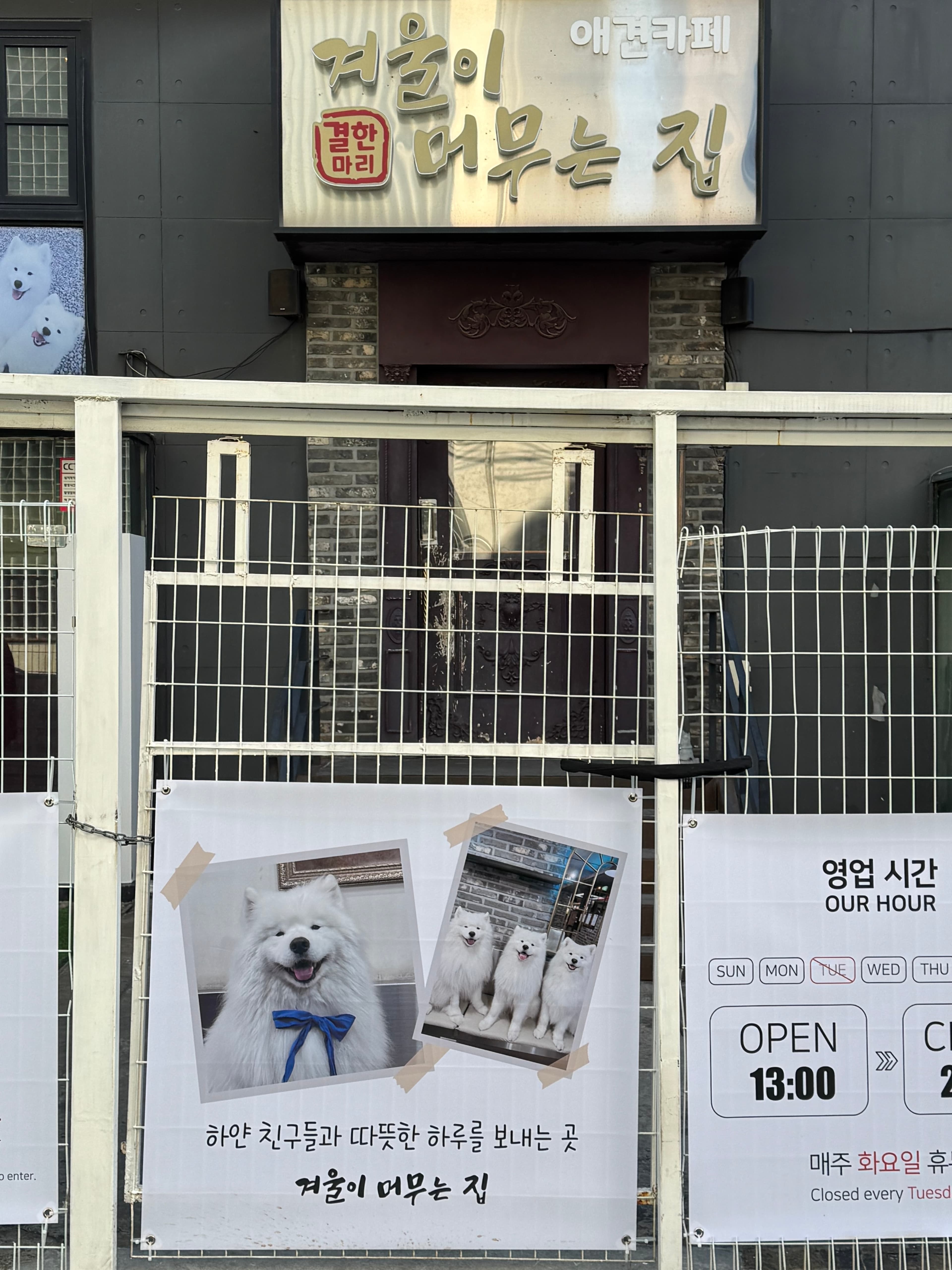 복잡한 건 딱 질색, 조용히 걷고 싶을 때 찾는 홍대/연남 쉼표